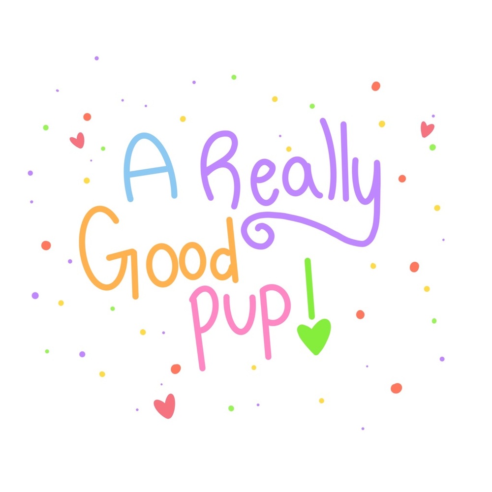 ๐ถ 4 for $16 ORANGE GINGHAM DOG BANDANA - Picture 6 of 7